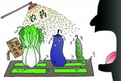 農(nóng)藥危害大？農(nóng)藥殘留檢測儀來幫忙